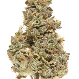 Alien Dawg Marijuana Strain