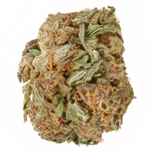 Arjan’s Strawberry Haze Strain