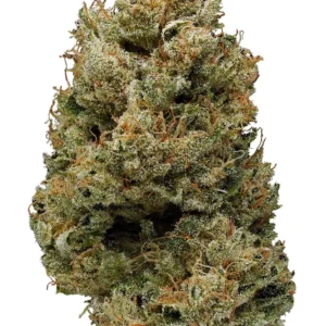 Banana Kush Marijuana Strain