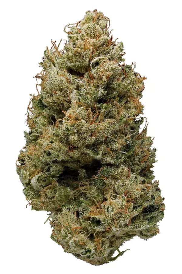 banana-kush-marijuana-strain