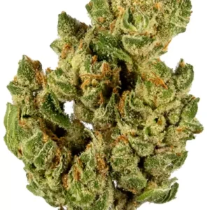 Banana Kush Marijuana Strain