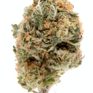 Blueberry Cookies Marijuana Strain