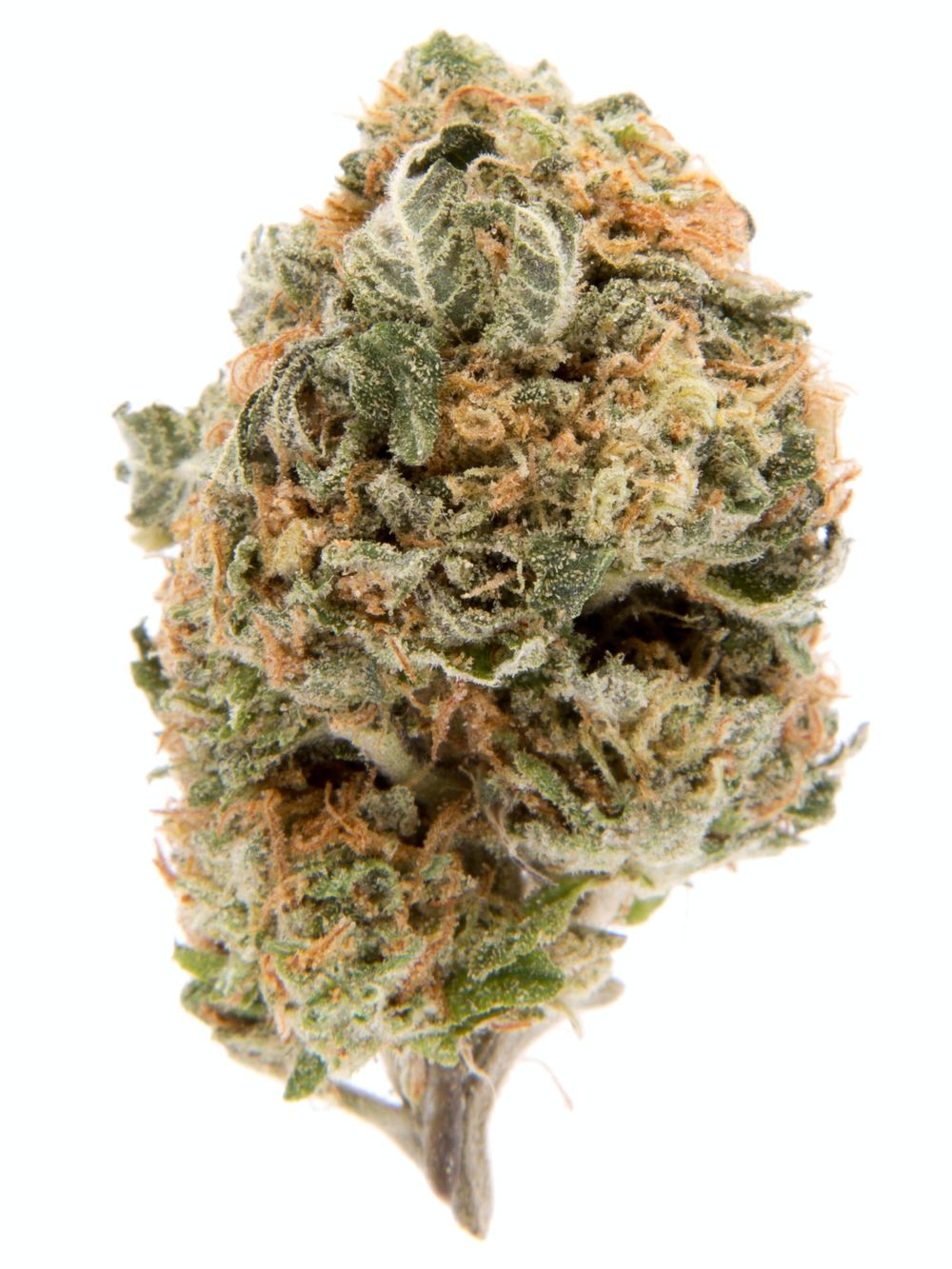 blueberry-cookies-marijuana-strain