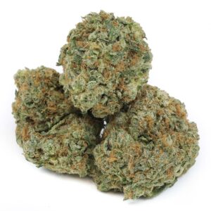 Blueberry Cookies Marijuana Strain