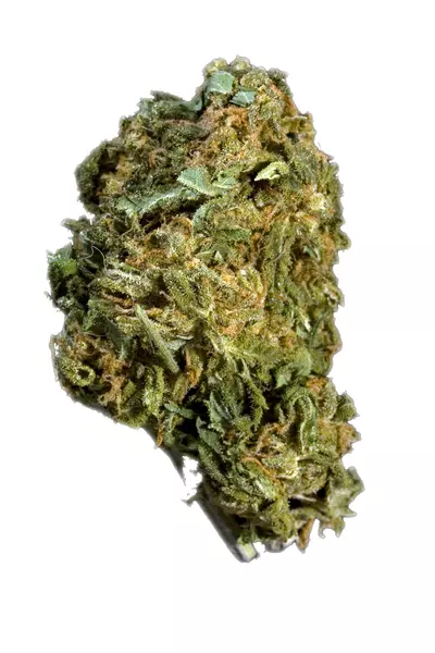 blueberry-kush-marijuana-strain