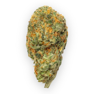 Biscotti Marijuana Strain