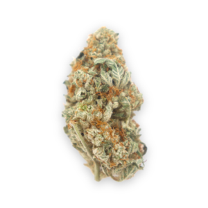 Cookie Dawg Marijuana Strain