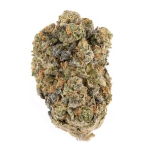 Girl Scout Cookies Marijuana Strain