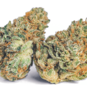 Gorilla Glue Marijuana Strain