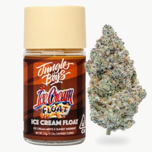 Buy Jungle Boys – Ice Cream Float Online UK