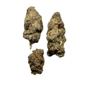 Kamikaze Marijuana Strain