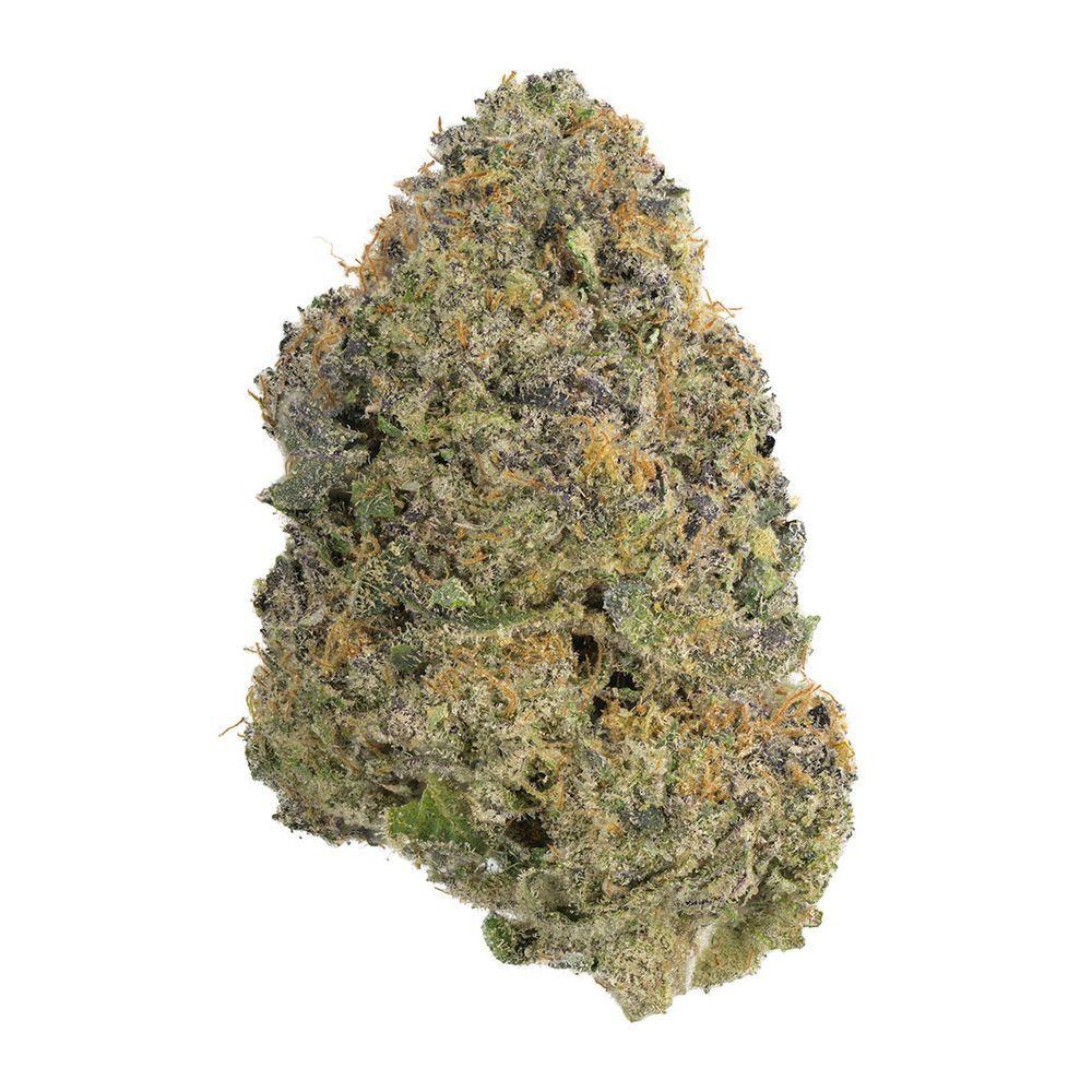 paradise-circus-marijuana-strain