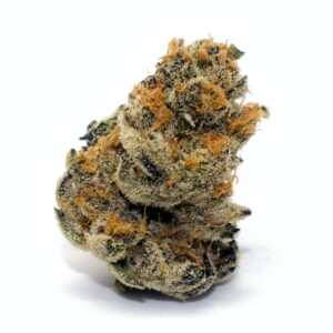 Platinum Cookies Marijuana Strain