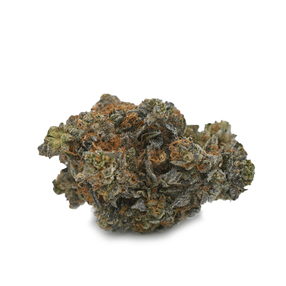 purple-haze-marijuana-strain