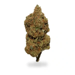 White Rhino Marijuana Strain