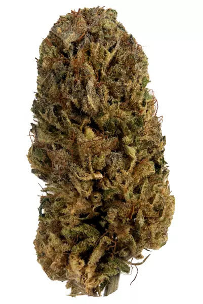 skywalker-og-marijuana-strain