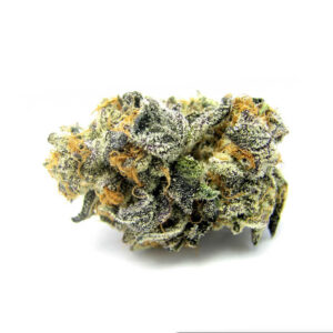 Sugar Cookies Marijuana Strain