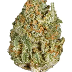 White Rhino Marijuana Strain