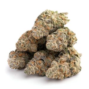 Paradise Circus Marijuana Strain